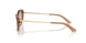 510593 - Brown - Light Brown