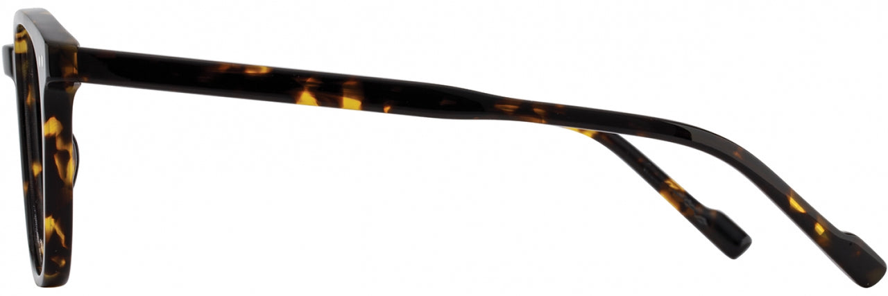 3 - Dark Tortoise