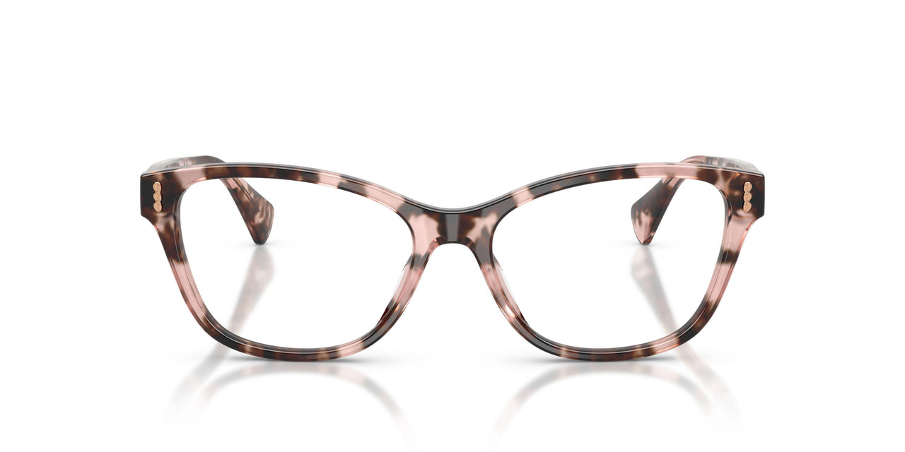 6058 - Tortoise