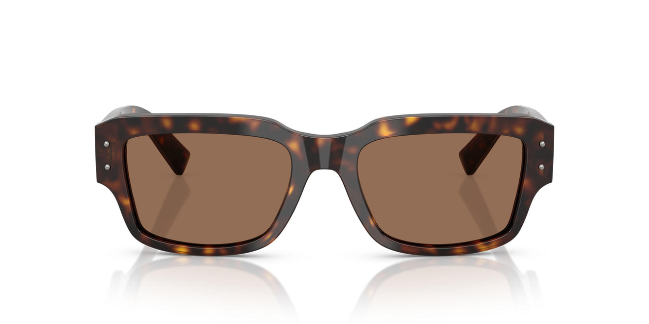 502/73 - Tortoise - Dark Brown