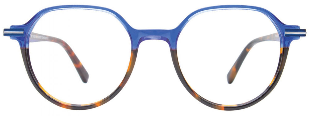 50 - Blue & Tortoise / Tortoise