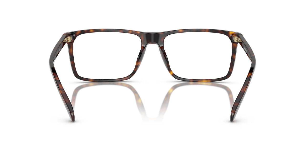 5120 - Tortoise