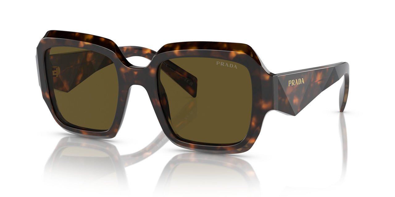 14L09Z - Green - Dark Brown