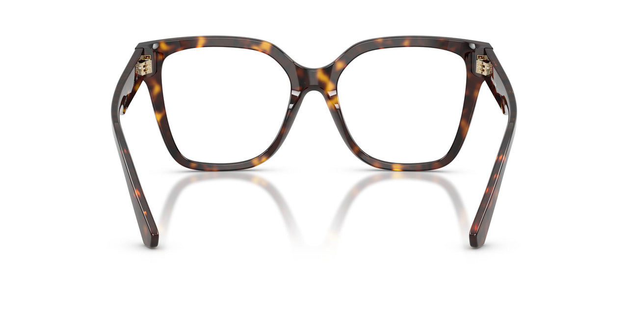 3002 - Brown