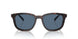 17N06A - Tortoise - Dark Blue