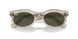 138331 - Grey - Green