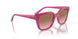313514 - Purple - Pink Gradient Brown