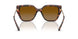 40319P - Tortoise - Brown Polar
