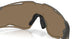 953803 - Grey - Prizm 24k