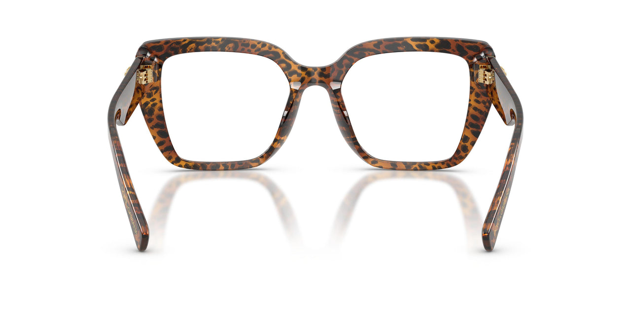 3470 - Brown