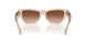 84453B - Brown - Brown Gradient