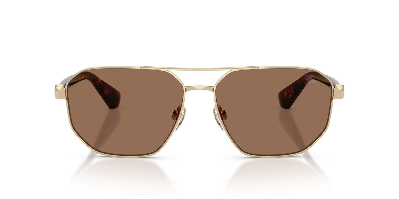110973 - Gold - Dark Brown