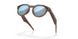 800206 - Brown - Prizm Deep Water Polarized