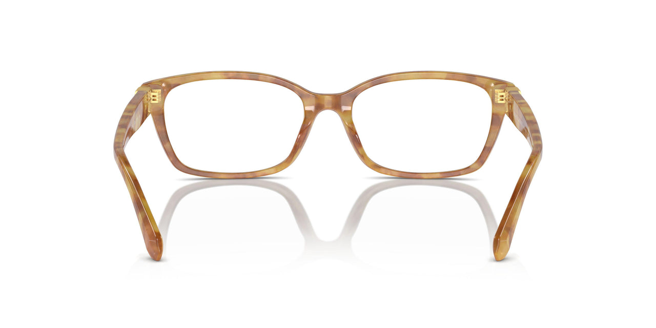 5304 - Tortoise