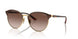 507813 - Brown - Brown Gradient