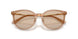 507693 - Brown - Light Brown