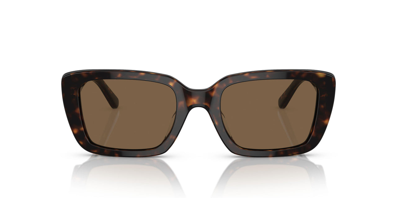172873 - Tortoise - Dark Brown