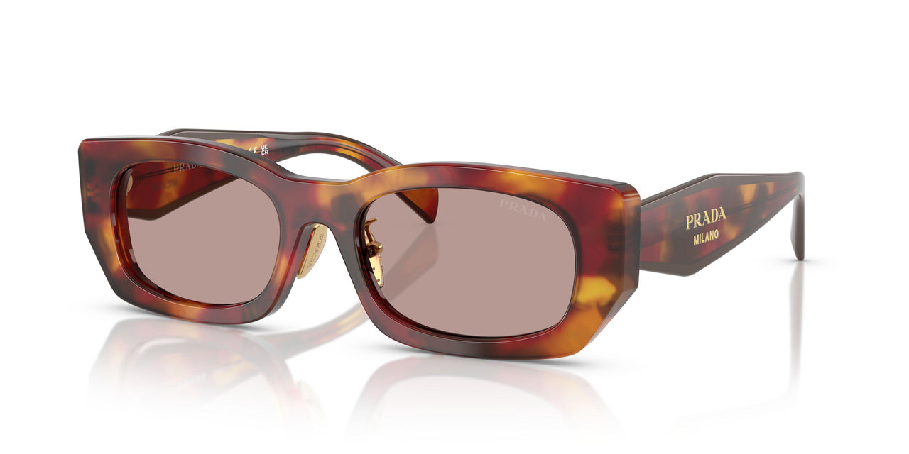 22A20I - Tortoise - Light Purple Brown