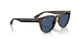 710/80 - Tortoise - Blue