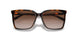 300613 - Tortoise - Brown Gradient