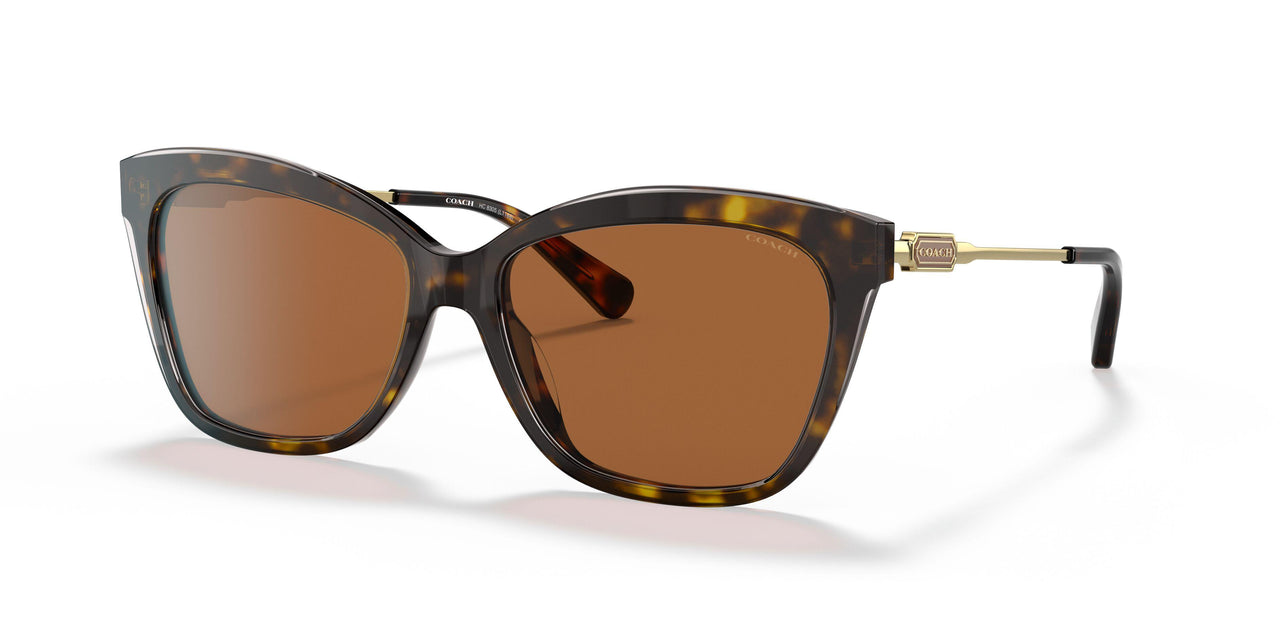 512073 - Havana - Brown