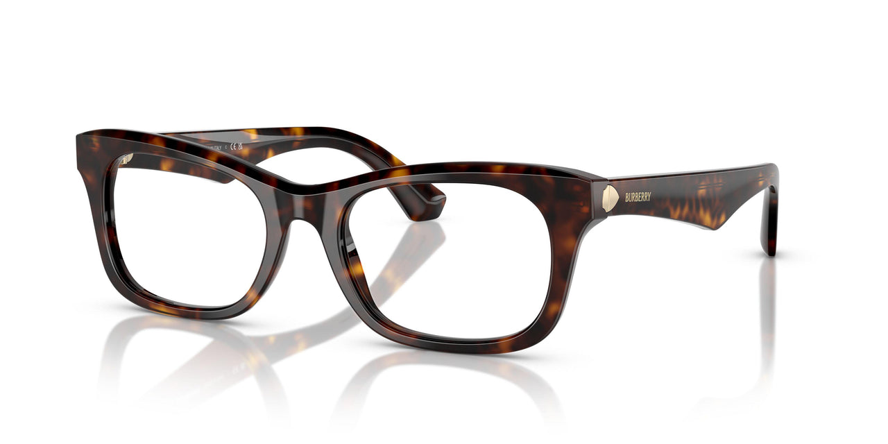3002 - Brown