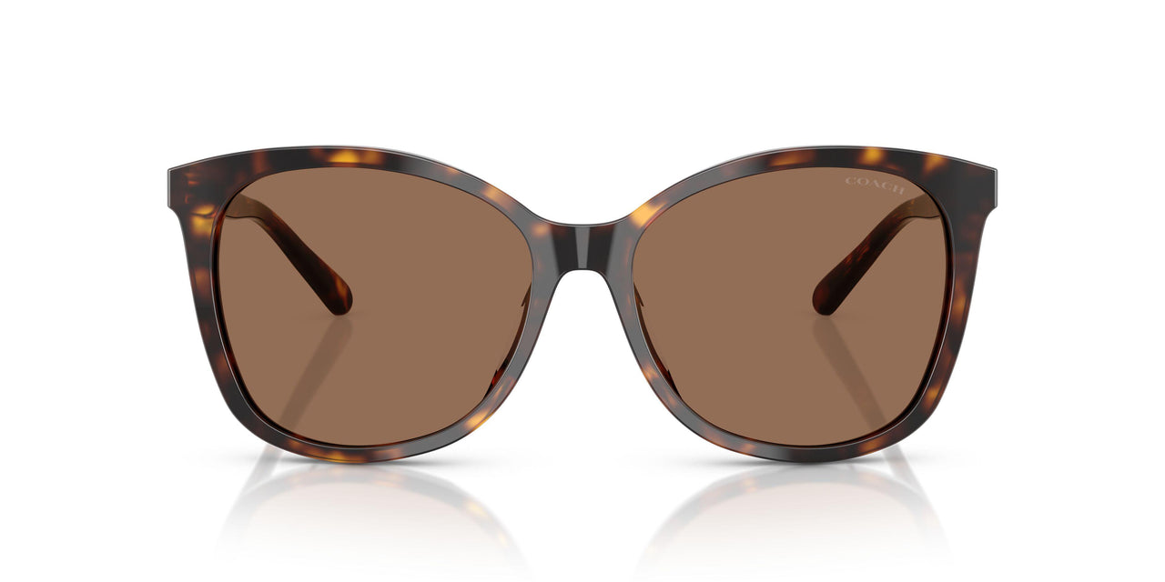 512073 - Havana - Dark Brown