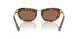 403573 - Tortoise - Dark Brown
