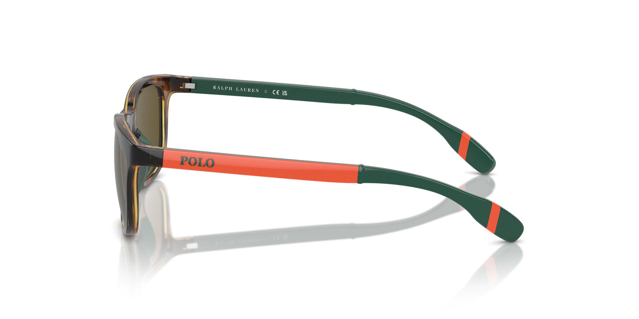 500373 - Tortoise - Olive Green