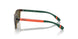500373 - Tortoise - Olive Green