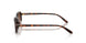 W65613 - Brown - Brown Gradient