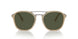116931 - Brown - Green