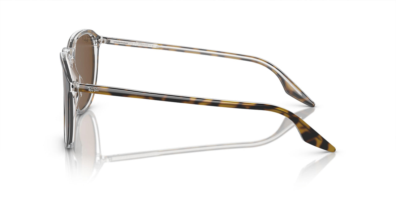 139357 - Tortoise - Brown