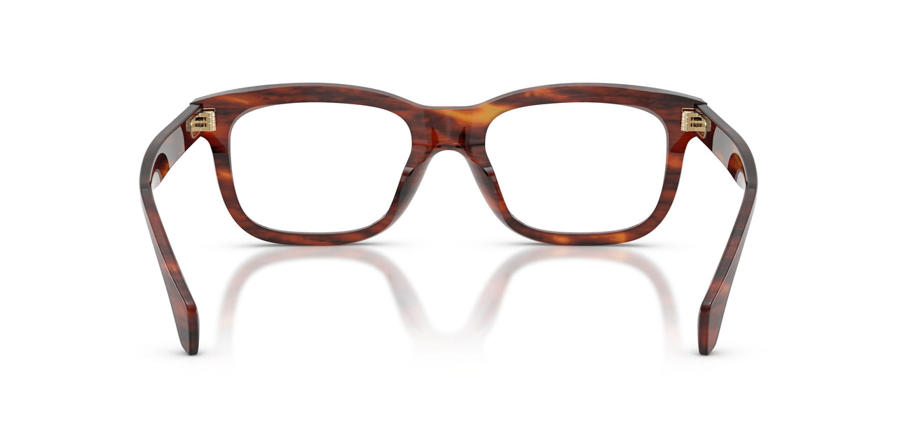 3034 - Tortoise