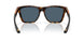 912205 - Tortoise - Gray
