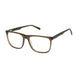 Aristar AR18665 Eyeglasses