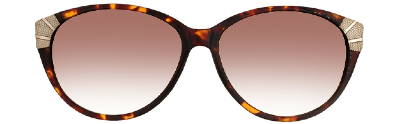550 - Tortoise