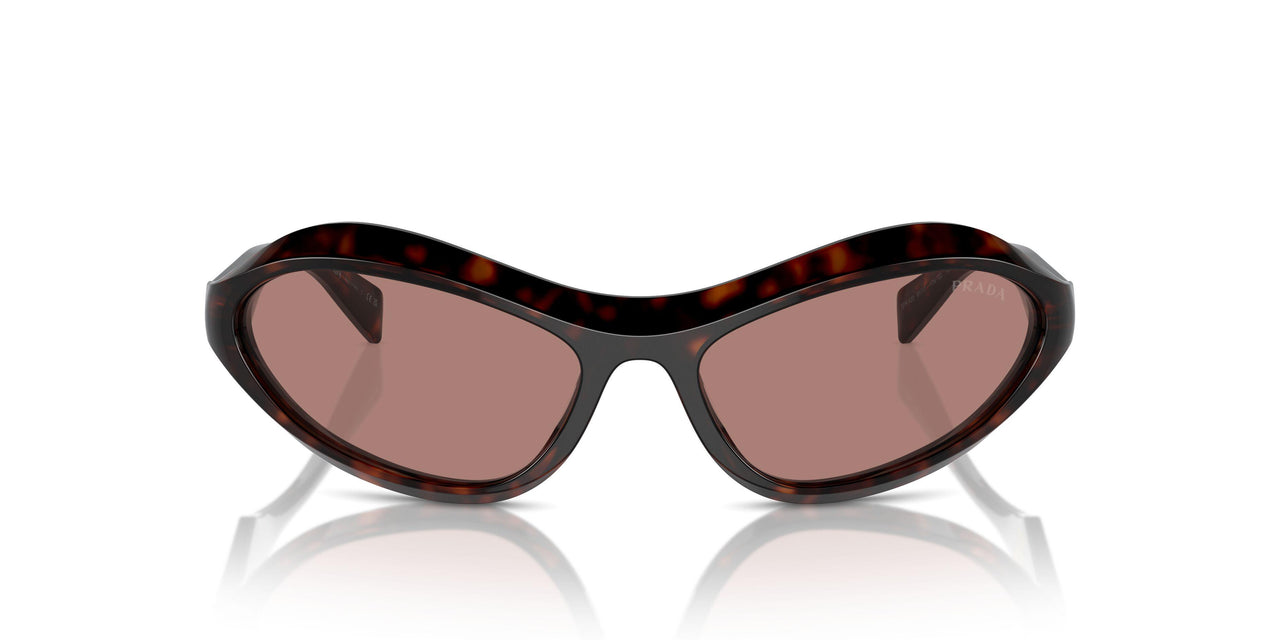 17N10D - Tortoise - Light Brown