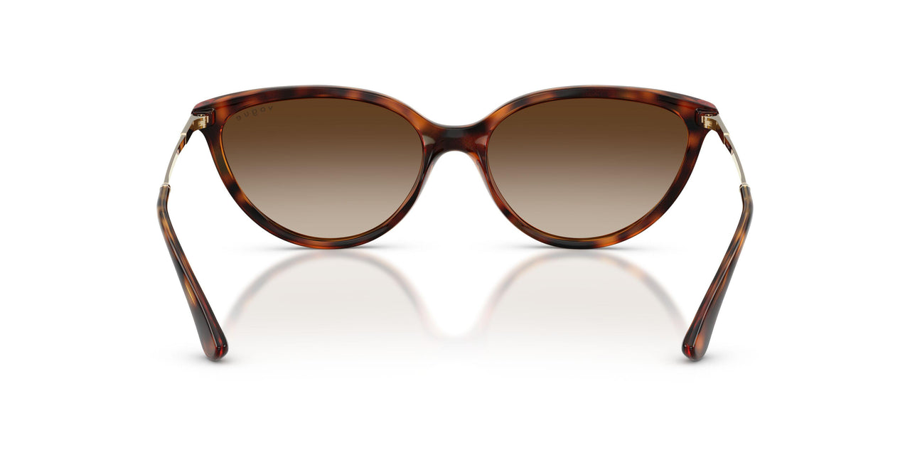 W65613 - Brown - Gradient Brown