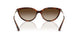 W65613 - Brown - Gradient Brown