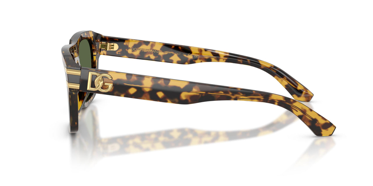 333071 - Tortoise - Dark Green