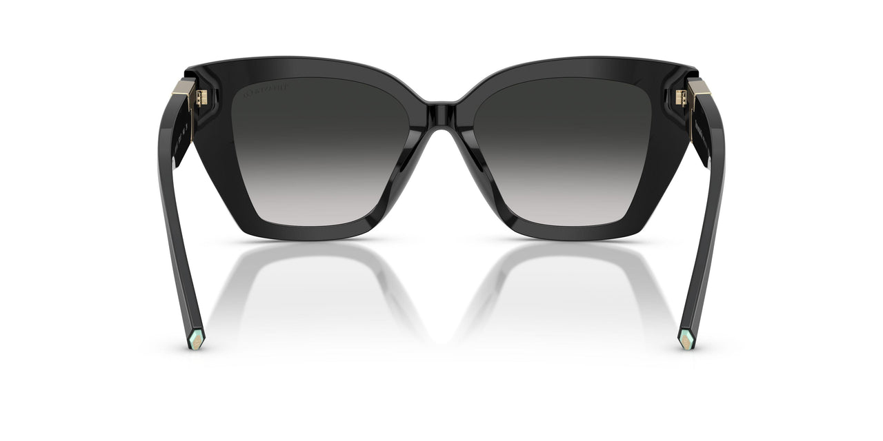 80013C - Black - Grey Gradient