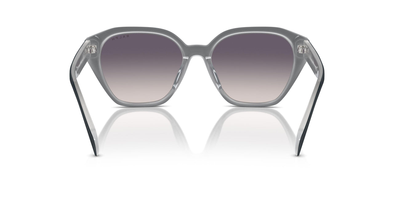 606636 - Black - Pink Gradient Dark Grey