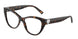 8015 - Tortoise