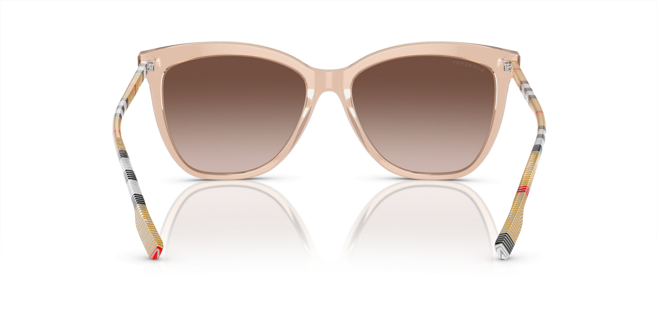 400613 - Pink - Brown Gradient