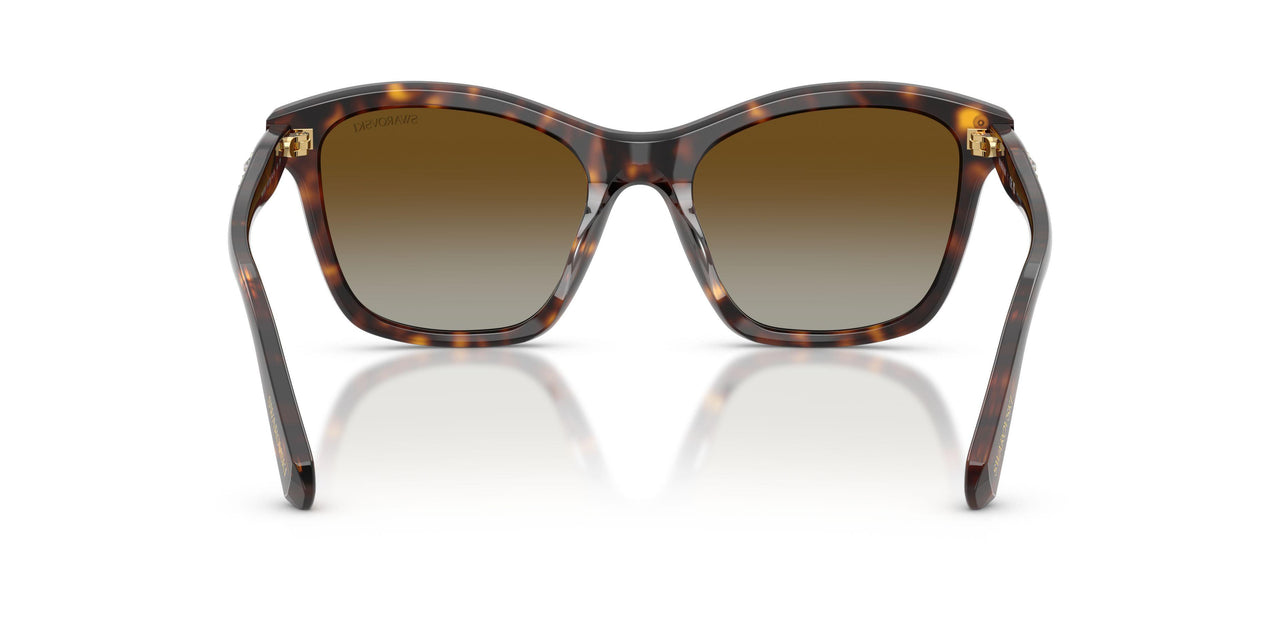 1002T5 - Tortoise - Polar Brown Gradient