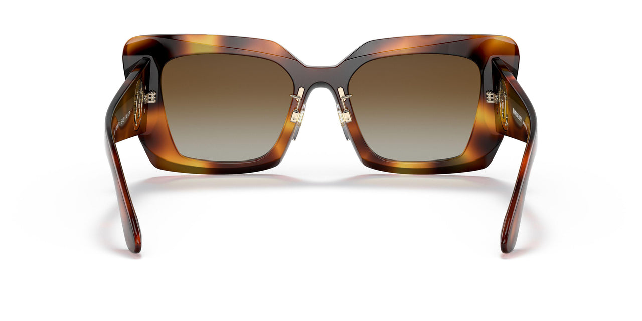 3316T5 - Havana - Brown Gradient Polar