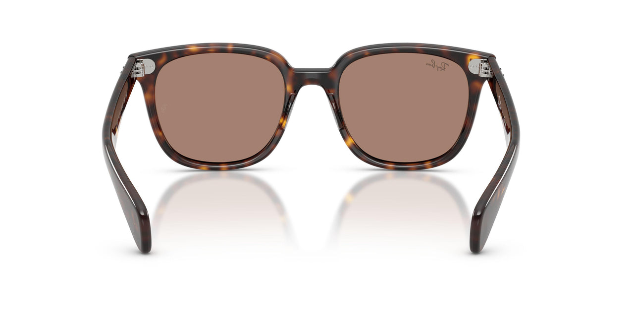 902/1A - Tortoise - Light Violet