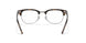 2012 - Brown - Clear