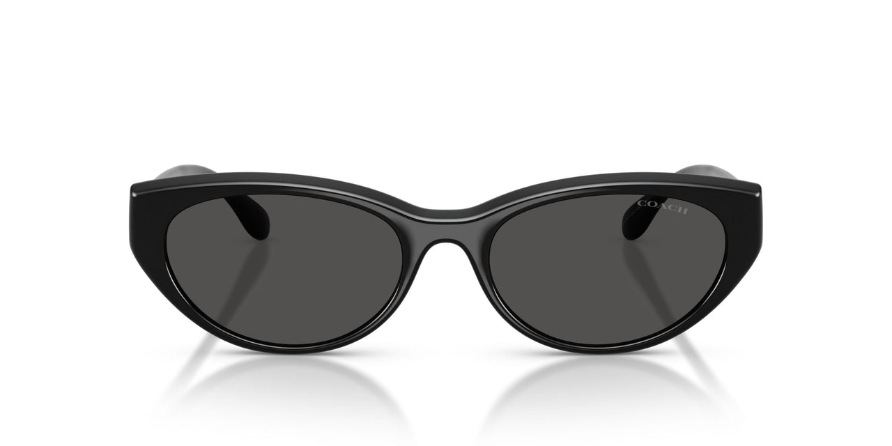 500287 - Black - Grey Solid